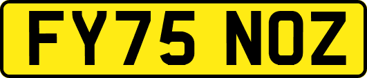 FY75NOZ
