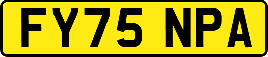 FY75NPA