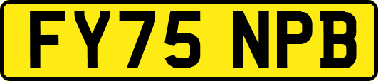FY75NPB