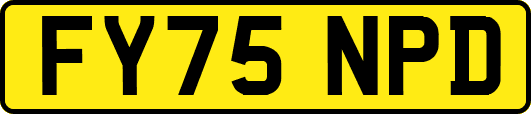 FY75NPD