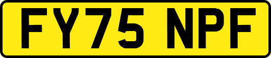 FY75NPF