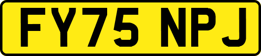 FY75NPJ