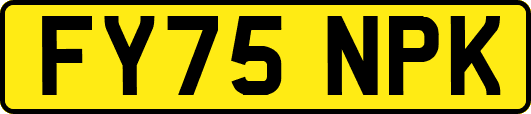FY75NPK