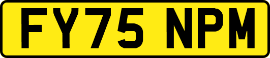 FY75NPM