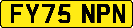 FY75NPN