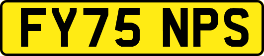 FY75NPS
