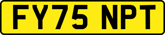 FY75NPT