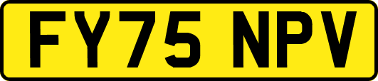 FY75NPV