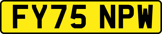 FY75NPW