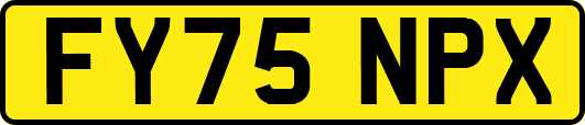 FY75NPX