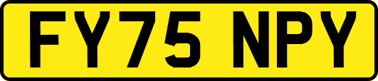 FY75NPY