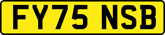 FY75NSB