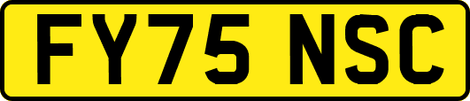 FY75NSC