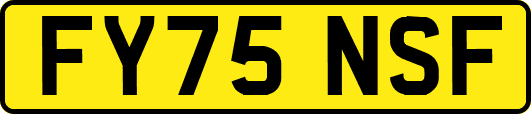 FY75NSF