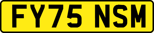 FY75NSM