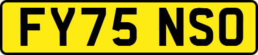 FY75NSO