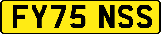 FY75NSS