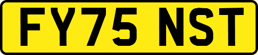 FY75NST