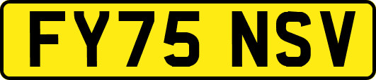 FY75NSV