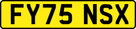 FY75NSX