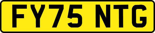 FY75NTG