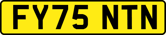 FY75NTN