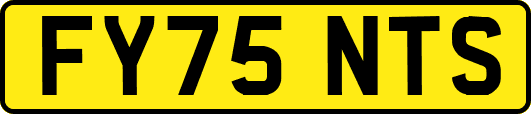FY75NTS