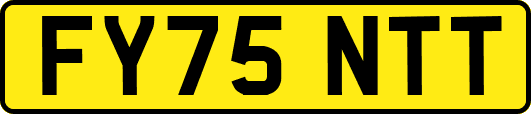 FY75NTT