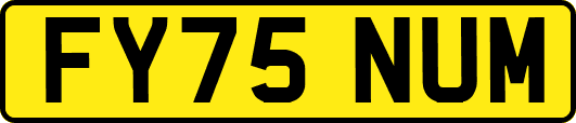 FY75NUM