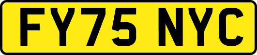 FY75NYC