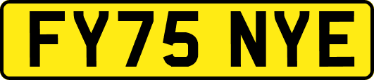 FY75NYE
