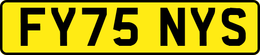 FY75NYS
