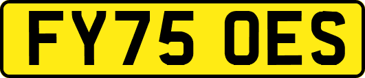 FY75OES