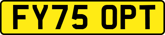 FY75OPT