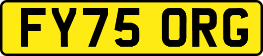 FY75ORG
