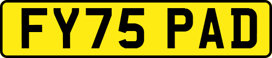 FY75PAD