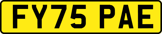 FY75PAE