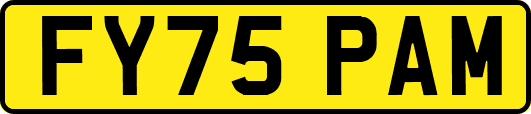 FY75PAM