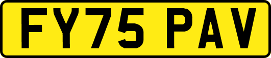 FY75PAV