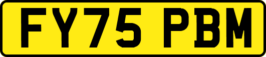 FY75PBM