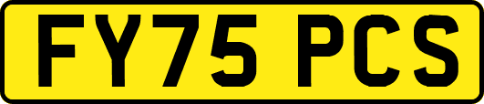 FY75PCS