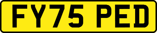 FY75PED