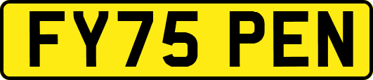 FY75PEN