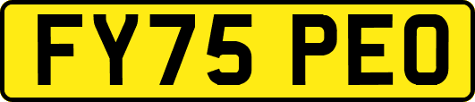 FY75PEO