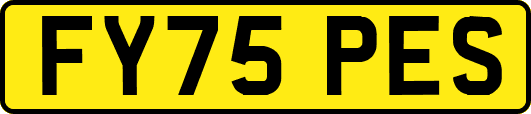 FY75PES