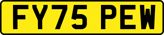 FY75PEW