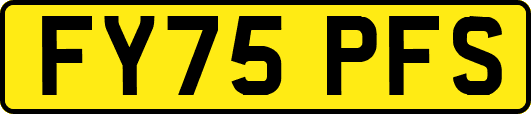 FY75PFS