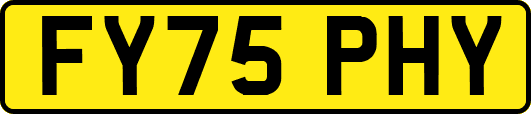 FY75PHY