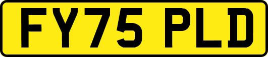 FY75PLD