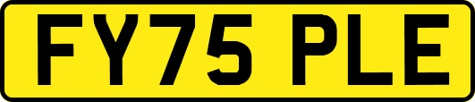 FY75PLE
